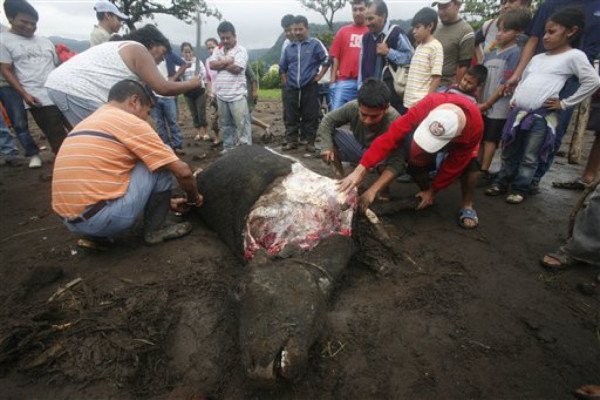 En Guatemala ya son 73 muertos por 'Agatha'
