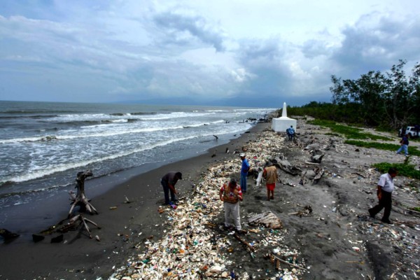 Los técnicos de la Fiscalía del Ambiente recolectaron evidencias de los desechos. Fotos y video: Wendel Escoto