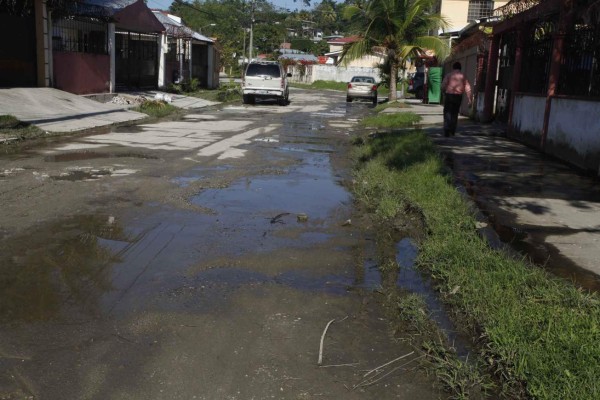 Se 'hunden” calles en Villas del Bosque