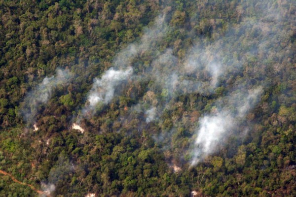 Honduras ha perdido 40,433 hectáreas de bosques en 820 incendios en 2019