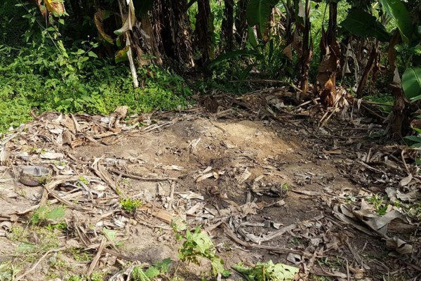 Encuentran supuesta fosa clandestina en San Pedro Sula