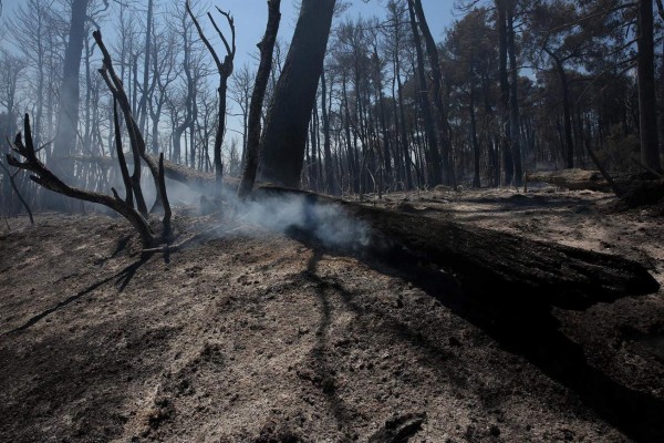 ¡Alerta mundial! Efectos del cambio climático en el planeta ya son irreversibles   