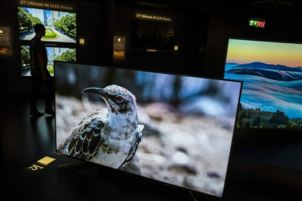 Sony X1 Ultimate 4K displays can be seen at the Sony stand during a preview day of the IFA, the world's leading trade show for consumer electronics and home appliances, in Berlin on August 30, 2018. / AFP PHOTO / John MACDOUGALL