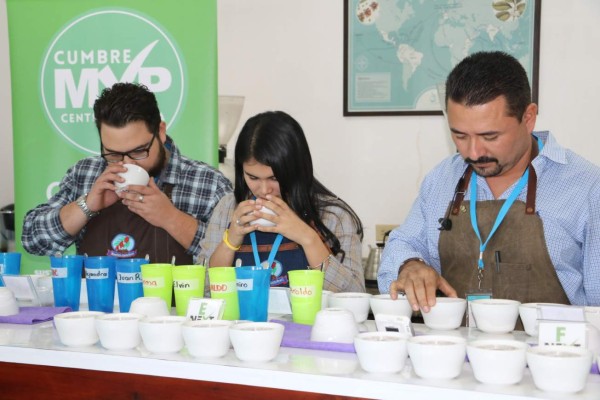 Comienzan a cortar café bajo la presión de los peores precios