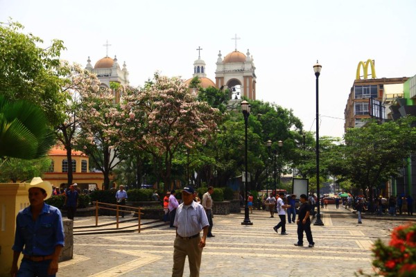 200 medianas empresas se crearon en primer trimestre en San Pedro Sula