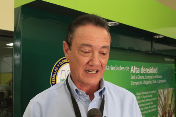 Honduras se acerca a Colombia en cultivo de palma africana