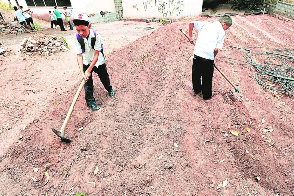 Con 10 centros educativos comenzará proyecto para sembrar granos básicos