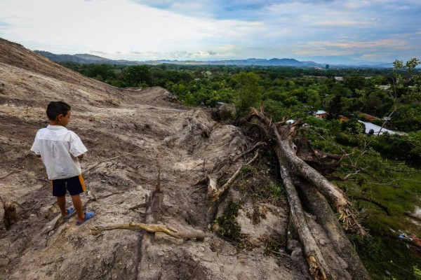 Por tala ilegal y quema Honduras pierde hasta 3% de bosque al año