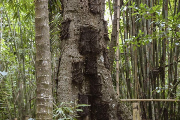 Toraja, donde la muerte es la parte más importante de la vida
