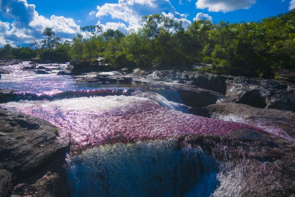 Caño Cristales, una joya turística escondida en Colombia