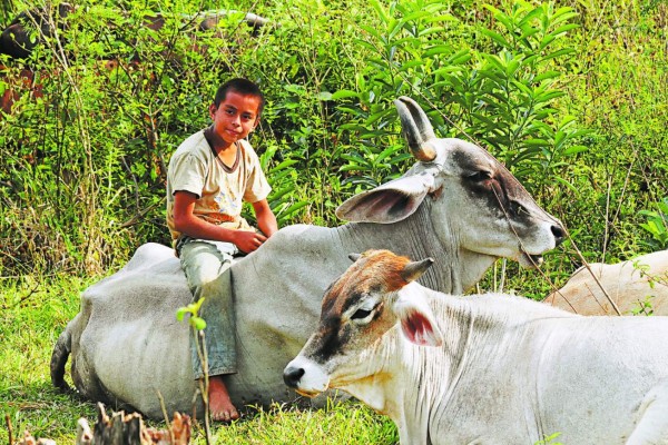 Río Tinto, el último pulmón verde para los apasionados de las aves