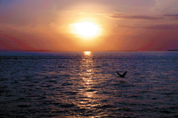 Islas del Rosario, el tesoro escondido de Colombia