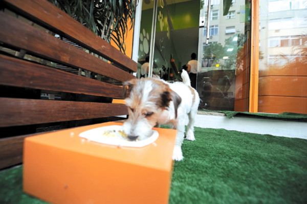 Primer restaurante para perros en Brasil