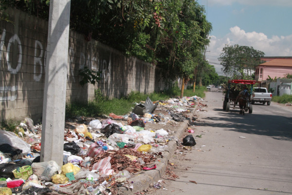 Sampedranos viven 'atrapados” por la basura
