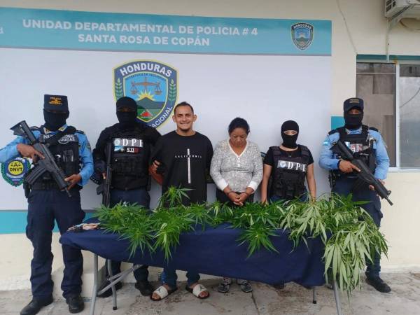 La pareja detenida junto a la marihuana que tenían plantada en el solar de su casa.