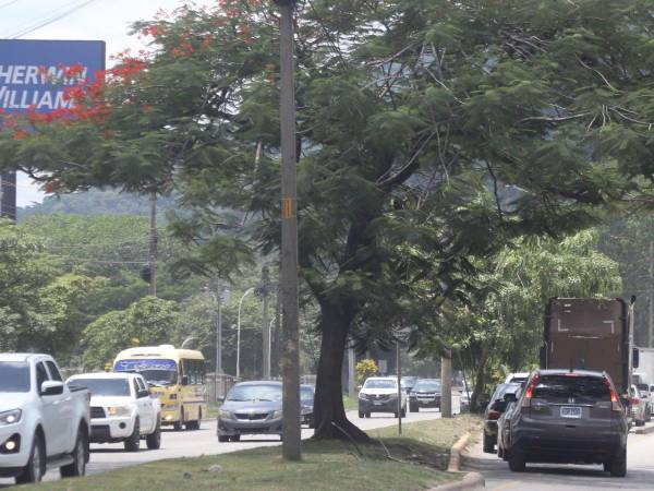 Expertos proponen eliminar el giro en U a la altura de la terminal de buses.