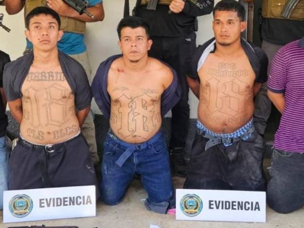 Los acusados deberán pagar una multa de más de dos millones de lempiras.