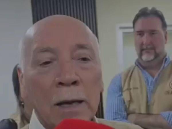 Eladio Loizaga, jefe de la MOE-OEA.