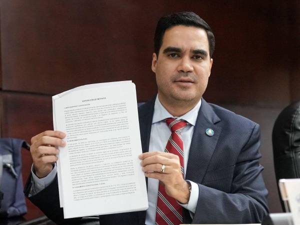 Fernando Castro, diputado proyectista de la reforma legal.