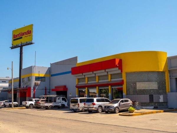 Del 20 de marzo al 1 de abril, los conductores podrán renovar sus neumáticos con descuentos exclusivos en marcas líderes y recibir beneficios adicionales por su compra.