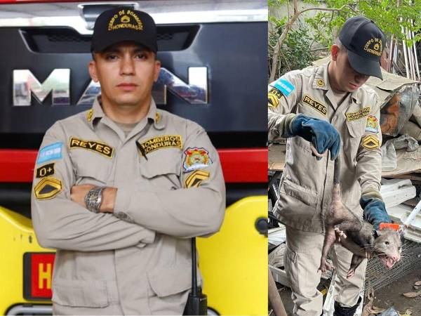 Perros, gatos, serpientes y tacuacines forman parte de los rescates que atiende junto a sus compañeros, mientras promueve entre los niños el respeto por la vida y la preparación ante emergencias.