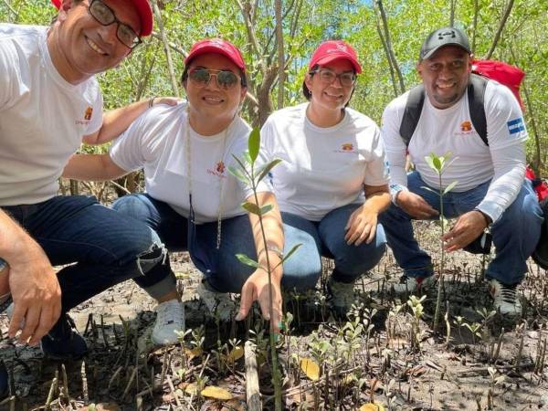 Más de 60 mil asegurados respaldan la regeneración ecológica, la biodiversidad y la creación de empleos verdes en Honduras, Costa Rica y El Salvador.