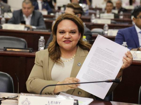​La iniciativa fue introducida por Leiby Torres, diputada del Partido Liberal por el departamento de Cortés.
