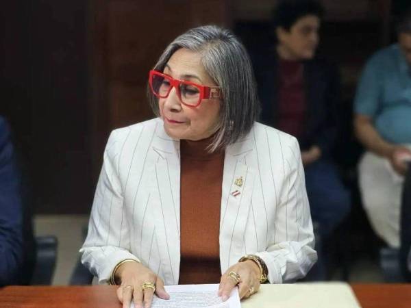 La diputada por el Partido Liberal Maribel Espinoza.