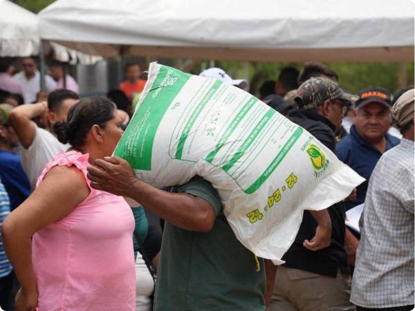 Productores de Choluteca recibiendo el Bono Tecnológico Productivo en octubre de 2024.