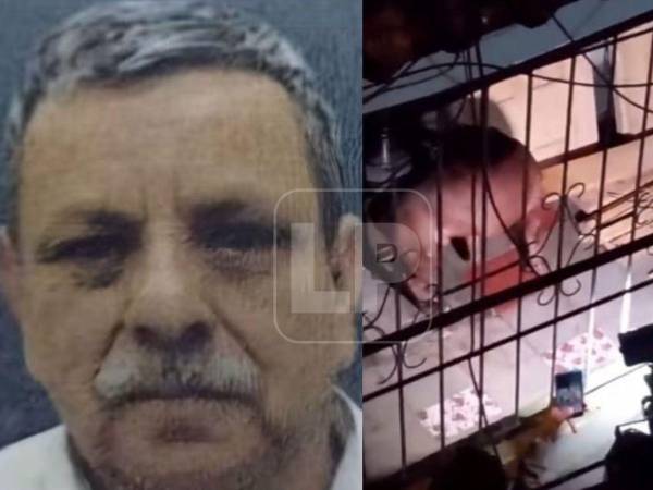 Alex Alonso Maldonado, de 75 años, murió luego de ser atacado en dos ocasiones por un perro de raza pitbull en la colonia Hato de Enmedio, en Tegucigalpa, Distrito Central, Francisco Morazán.