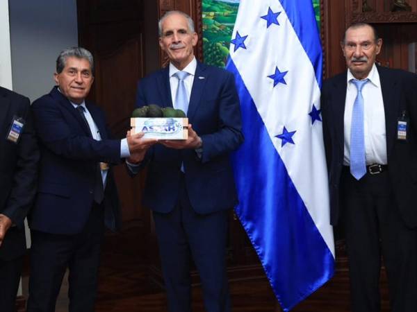 Productores de aguacate y autoridades del Gobierno acordaron fortalecer la asistencia técnica y los controles sanitarios para impulsar las exportaciones hondureñas.