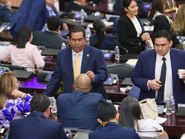 La comisión especial tiene hasta el 25 de mayo para presentar la nómina de los 24 aspirantes.