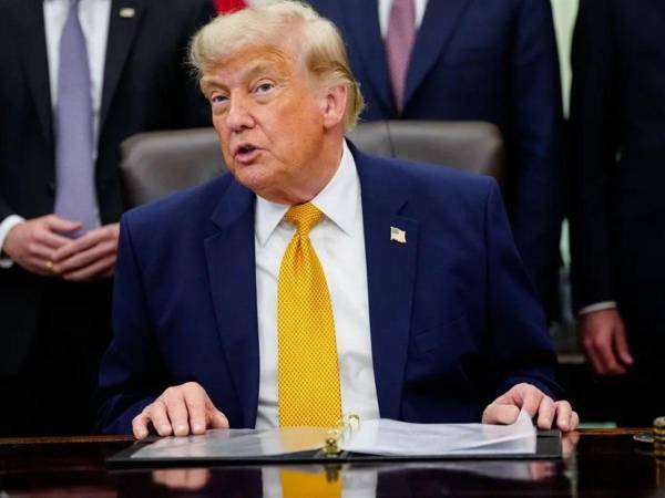 Trump afirmó que Colombia logra avances en la erradicación enérgica de la coca y el desmantelamiento de sus redes narcoterroristas.