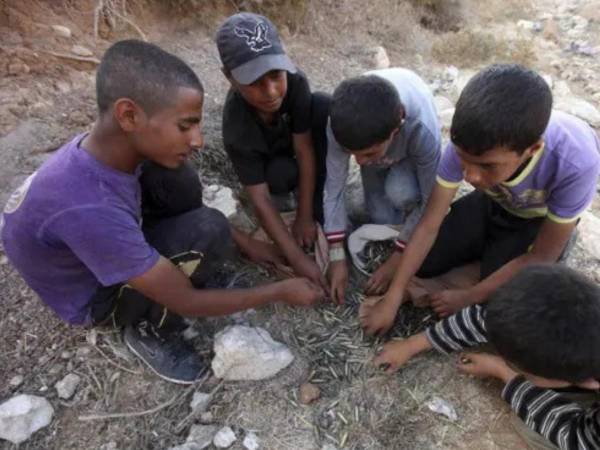 En total, 36 gazatíes murieron, 18 en la ciudad de Gaza y 18 al sur de la Franja, en la última incursión israelí.