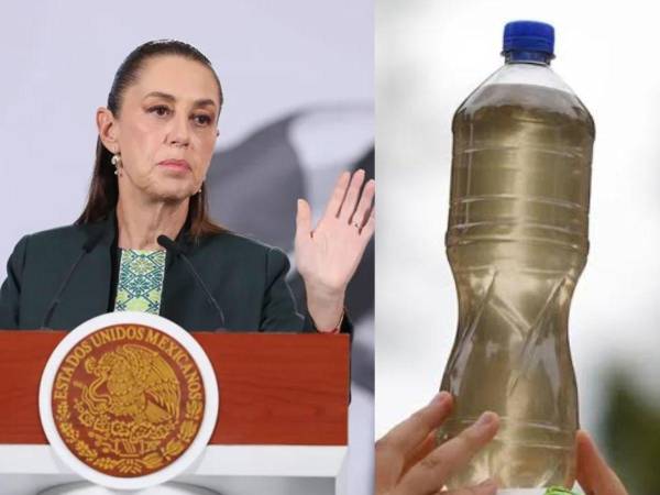 Lemus explicó que la primera etapa comenzará a funcionar en abril de 2027