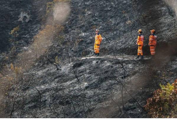 Integrantes de la Defensa Civil Colombiana en la zona afectada por el incendio forestal.