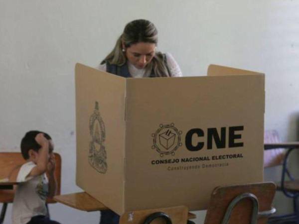 El CNE reveló el pasado 30 de agosto quiénes serán las empresas encargadas del Trep, auditoría y biometría.