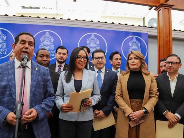 Comisión Especial del Congreso Nacional para para seleccionar perfiles del TJE y el CNE.