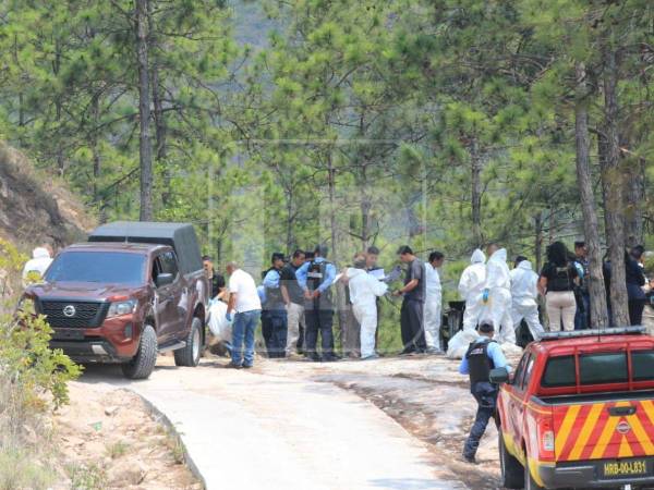 Las autoridades hondureñas continúan investigando el hallazgo de tres cuerpos calcinados y desmembrados encontrados la mañana de este martes en el sector El Cimarrón, en el Distrito Central.