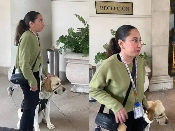 Una mujer identificada como Sarahí fue impedida de ingresar al Hotel Safi, en Monterrey, mientras asistía a una posada navideña de su empresa, pese a estar acompañada de su perro de asistencia, Odín.