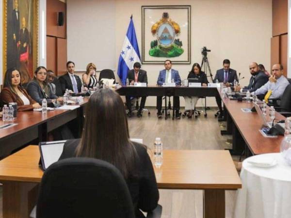 La comisión especial del Congreso Nacional durante una de las jornadas de evaluación de aspirantes a cargos vacantes en el CNE y el TJE.