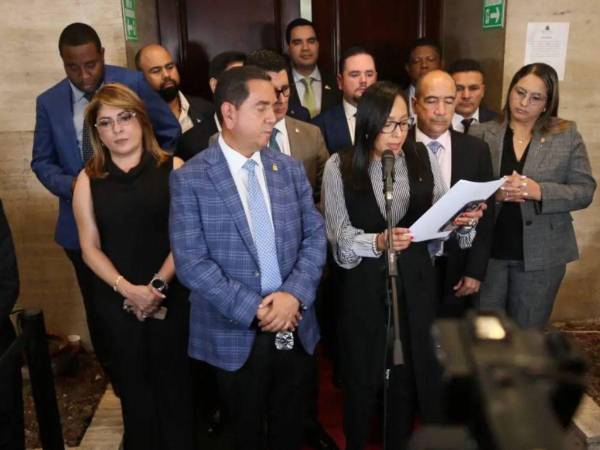 Comisión Especial de Selección del Congreso Nacional para selección de magistrados del TJE y CNE.