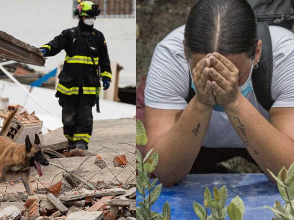La esperanza es lo último que se pierde, pero ya no tenemos muchas esperanzas, dijo Leonela Delgado, quien continúa buscando a su hijastro entre los escombros de un edificio desplomado en Playa Grande, un sector del estado costero de La Guaira en Venezuela, después de cuatro días de los terremotos de magnitud 7,2 y 7,5 ocurridos el miércoles.