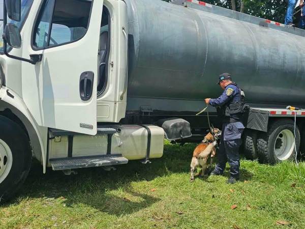 Agentes antidrogas inspeccionaron la cisterna donde fueron encontrados 56 fardos que contenían los 1,240 kilos de cocaína.