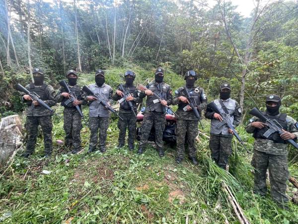 Militares de la PMOP inspeccionan plantaciones de coca desmanteladas en La Masica, Atlántida, durante operación conjunta con la DLCN y las FF. AA.
