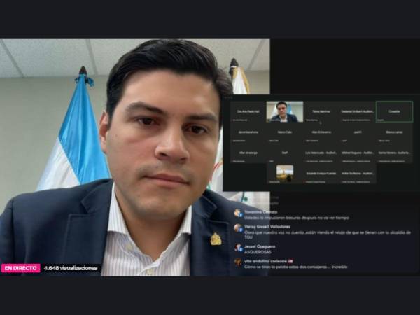 Reunión virtual del CNE transmitida por el consejero Marlon Ochoa en sus redes sociales.