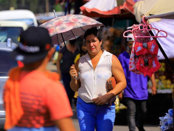 Las temperaturas máximas en abril llegarán a los 35 grados Celsius, según Cenaos.