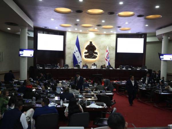 Tomás Zambrano, presidente del Congreso Nacional, descartó nuevas exenciones tributarias sobre las ganancias de las empresas generadoras.
