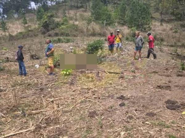 Al menos 36 reses fueron envenenadas en la propiedad de José Luis Chirinos, alcalde del municipio de Manto, Olancho.