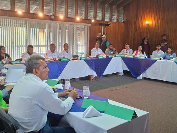 El ICF realizó la primera mesa interinstitucional donde participaron representantes de varias institutciones.